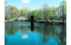 Property photo 1 - 131.5 Acres Offered in 5 Tracts - Land Auction