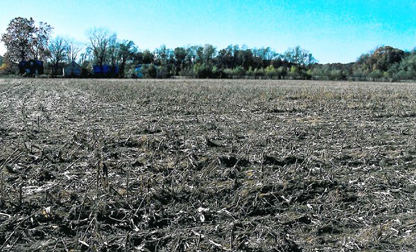 131.5 Acres Offered in 5 Tracts - Land Auction
