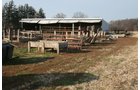 Property photo 20 - Zeigler Farm Equipment Auction
