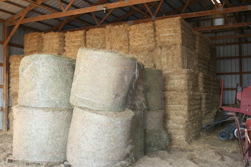 Property photo 8 - Zeigler Farm Equipment Auction