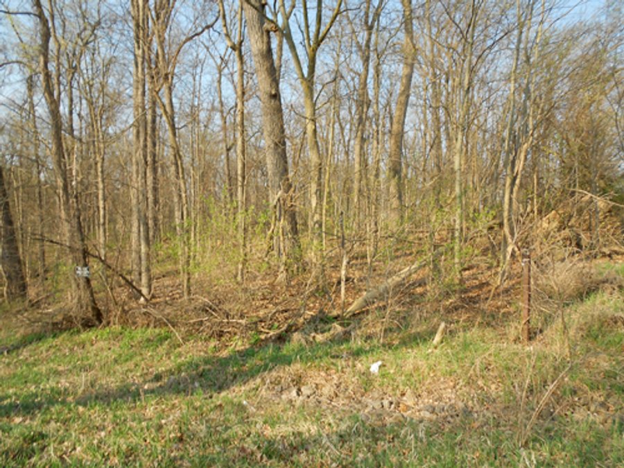 For sale: Beautiful 11.62 Acre Wooded Tract  - Near Otter Lake
