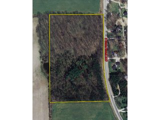 Potential building sites that are elevated and well drained.  Woods is a mixture of large pines and native hardwoods.  Deer and turkey hunting and the Otter Lake public access is only about 1 mile away.  Sewer is directly across Hwy. 327 and anyone building must hook into sewer. - Beautiful 11.62 Acre Wooded Tract 