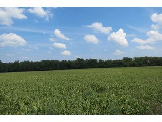 19.93+/- acres in northwest Noble County.  13+/- Acres tillable land and 6.93+/- acres of wooded land with frontage on the Elkhart River.  Investigte the timber value of the wooded land. - Tillable & Wooded Land