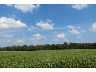 19.93+/- acres in northwest Noble County.  13+/- Acres tillable land and 6.93+/- acres of wooded land with frontage on the Elkhart River.  Investigte the timber value of the wooded land. - Tillable & Wooded Land