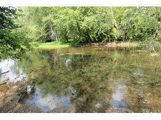 19.93+/- acres in northwest Noble County.  13+/- Acres tillable land and 6.93+/- acres of wooded land with frontage on the Elkhart River.  Investigte the timber value of the wooded land. - Tillable & Wooded Land