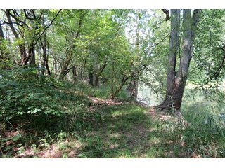 19.93+/- acres in northwest Noble County.  13+/- Acres tillable land and 6.93+/- acres of wooded land with frontage on the Elkhart River.  Investigte the timber value of the wooded land. - Tillable & Wooded Land