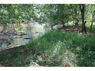 19.93+/- acres in northwest Noble County.  13+/- Acres tillable land and 6.93+/- acres of wooded land with frontage on the Elkhart River.  Investigte the timber value of the wooded land. - Tillable & Wooded Land