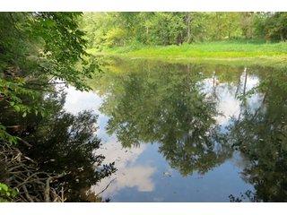 19.93+/- acres in northwest Noble County.  13+/- Acres tillable land and 6.93+/- acres of wooded land with frontage on the Elkhart River.  Investigte the timber value of the wooded land. - Tillable & Wooded Land