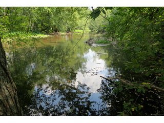19.93+/- acres in northwest Noble County.  13+/- Acres tillable land and 6.93+/- acres of wooded land with frontage on the Elkhart River.  Investigte the timber value of the wooded land. - Tillable & Wooded Land