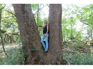 19.93+/- acres in northwest Noble County.  13+/- Acres tillable land and 6.93+/- acres of wooded land with frontage on the Elkhart River.  Investigte the timber value of the wooded land. - Tillable & Wooded Land