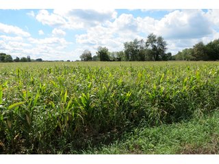 17.02+/- Acres with 13.5+/- tillable and 3.5+/- woods.  Very private setting.  Tillable and wooded land with frontage on the Elkhart River. - Tillable and Wooded Land