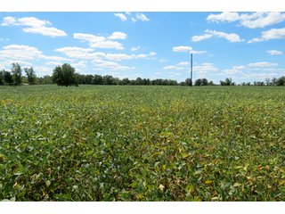 17.02+/- Acres with 13.5+/- tillable and 3.5+/- woods.  Very private setting.  Tillable and wooded land with frontage on the Elkhart River. - Tillable and Wooded Land