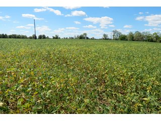 17.02+/- Acres with 13.5+/- tillable and 3.5+/- woods.  Very private setting.  Tillable and wooded land with frontage on the Elkhart River. - Tillable and Wooded Land