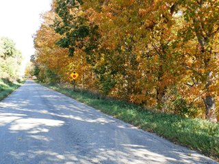 28 Acres nearly all wooded, great for hunting and recreation.  Many mature trees.  

Zoned Light Industrial-2.   - 28 Acres Nearly All Wooded
