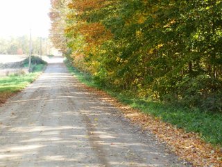 28 Acres nearly all wooded, great for hunting and recreation.  Many mature trees.  

Zoned Light Industrial-2.   - 28 Acres Nearly All Wooded