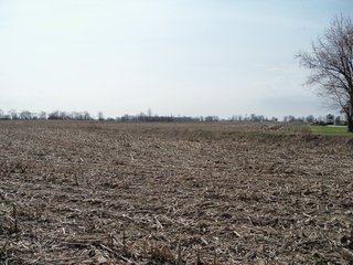 Beautiful country home and 4.5+/- acres with barn, bins, and creek.  Additional 18 acres available.

Home w/4.5 Acres - $143,000
Additional 18 Acres - $7,000/Acre
Whole Property - $269,000

Possession:  At closing on home; subject to tenants rights on farmland. - Beautiful Country Home with Acreage