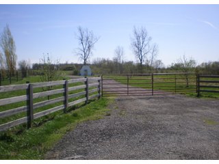 Features Include:

 - Approx. 35.2 acres cropland
 - Approx. 9 acres woods
 - Est. 659 ft. of frontage on Carlos Rd. and 1,044 ft. of frontage on Morgan  Creek Rd.
  - Subject to 2012 crop rights of tenant - Cropland and Woods
