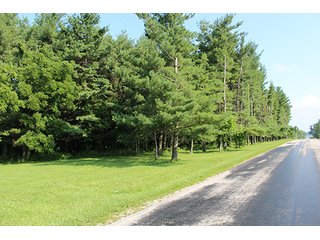 Property photo 35 - 160 Acres +/- Offered in 7 Tracts, 2 Auctions, 2 Dates