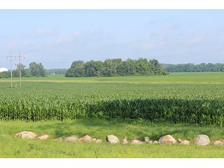 Property photo 36 - 160 Acres +/- Offered in 7 Tracts, 2 Auctions, 2 Dates