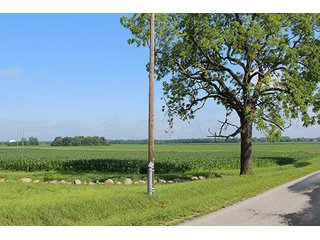 Property photo 24 - 160 Acres +/- Offered in 7 Tracts, 2 Auctions, 2 Dates