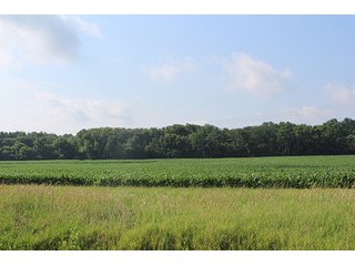 Property photo 55 - 160 Acres +/- Offered in 7 Tracts, 2 Auctions, 2 Dates