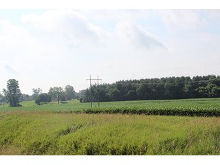 Property photo 62 - 160 Acres +/- Offered in 7 Tracts, 2 Auctions, 2 Dates