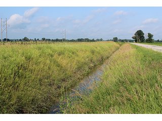 Property photo 57 - 160 Acres +/- Offered in 7 Tracts, 2 Auctions, 2 Dates