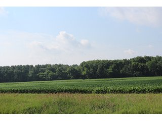 Property photo 61 - 160 Acres +/- Offered in 7 Tracts, 2 Auctions, 2 Dates