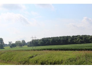 Property photo 63 - 160 Acres +/- Offered in 7 Tracts, 2 Auctions, 2 Dates