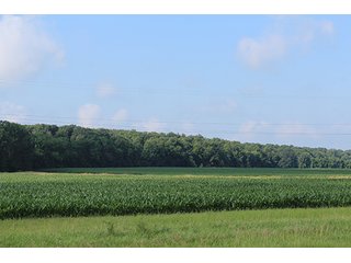 Property photo 58 - 160 Acres +/- Offered in 7 Tracts, 2 Auctions, 2 Dates
