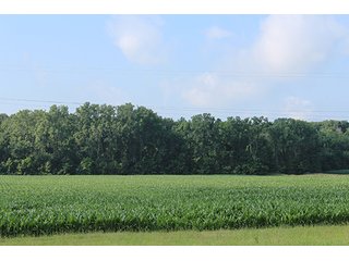 Property photo 66 - 160 Acres +/- Offered in 7 Tracts, 2 Auctions, 2 Dates