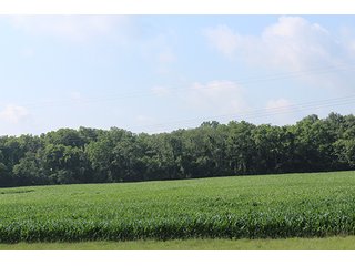 Property photo 64 - 160 Acres +/- Offered in 7 Tracts, 2 Auctions, 2 Dates