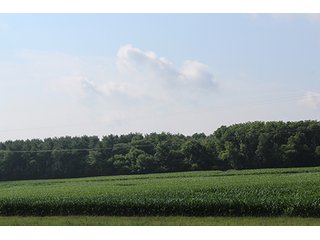 Property photo 54 - 160 Acres +/- Offered in 7 Tracts, 2 Auctions, 2 Dates