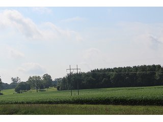 Property photo 56 - 160 Acres +/- Offered in 7 Tracts, 2 Auctions, 2 Dates