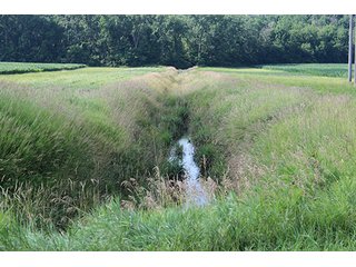 Property photo 65 - 160 Acres +/- Offered in 7 Tracts, 2 Auctions, 2 Dates