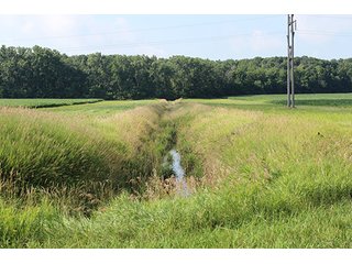 Property photo 60 - 160 Acres +/- Offered in 7 Tracts, 2 Auctions, 2 Dates