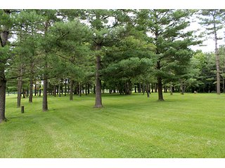 Property photo 34 - 160 Acres +/- Offered in 7 Tracts, 2 Auctions, 2 Dates