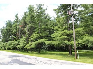 Property photo 22 - 160 Acres +/- Offered in 7 Tracts, 2 Auctions, 2 Dates