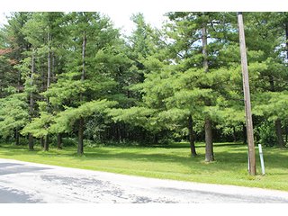 Property photo 28 - 160 Acres +/- Offered in 7 Tracts, 2 Auctions, 2 Dates