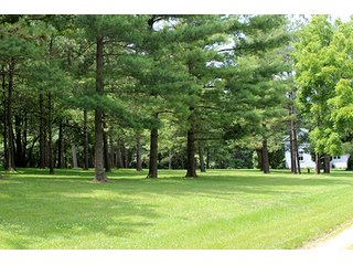 Property photo 25 - 160 Acres +/- Offered in 7 Tracts, 2 Auctions, 2 Dates