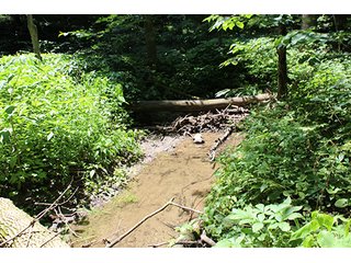 Property photo 67 - 160 Acres +/- Offered in 7 Tracts, 2 Auctions, 2 Dates