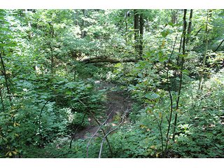 Property photo 43 - 160 Acres +/- Offered in 7 Tracts, 2 Auctions, 2 Dates