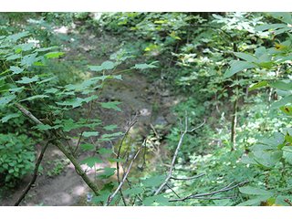 Property photo 42 - 160 Acres +/- Offered in 7 Tracts, 2 Auctions, 2 Dates