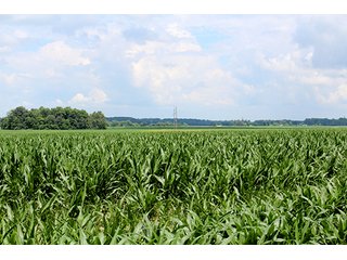 Property photo 5 - 160 Acres +/- Offered in 7 Tracts, 2 Auctions, 2 Dates