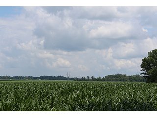 Property photo 16 - 160 Acres +/- Offered in 7 Tracts, 2 Auctions, 2 Dates