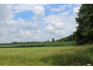 Property photo 20 - 160 Acres +/- Offered in 7 Tracts, 2 Auctions, 2 Dates
