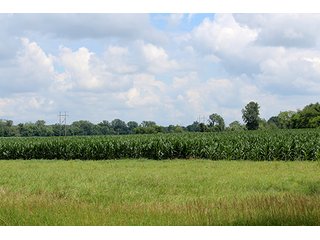 Property photo 17 - 160 Acres +/- Offered in 7 Tracts, 2 Auctions, 2 Dates