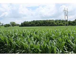 Property photo 9 - 160 Acres +/- Offered in 7 Tracts, 2 Auctions, 2 Dates