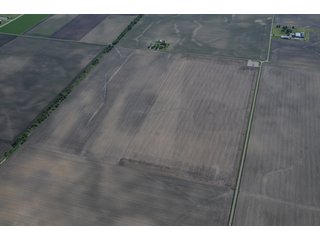 Property photo 14 - 152 +/- Acres Offered in 2 Tracts - Prime Tillable Farmland