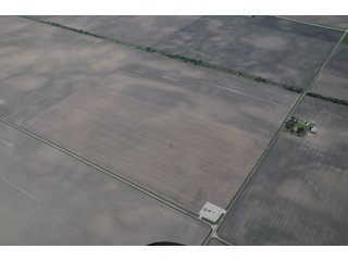 Property photo 37 - 152 +/- Acres Offered in 2 Tracts - Prime Tillable Farmland